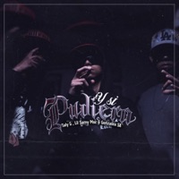 Y Si Pudiera (feat. Lil Samy Msc & Gonzalez SA) - Single - Taly G