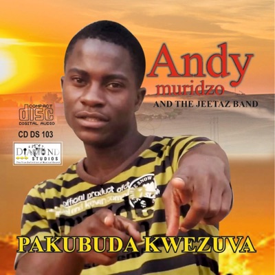 Andy Muridzo - Ndoenda Naye