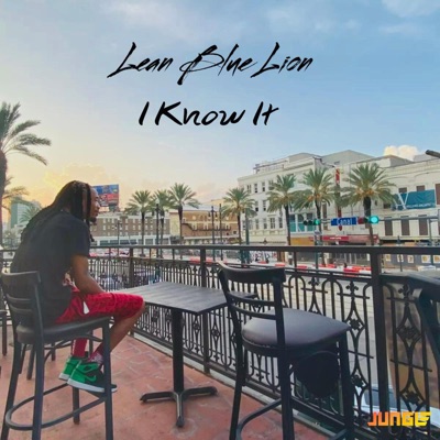 I Know It - Single
