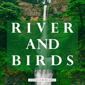 River and Birds Sounds for Relaxing