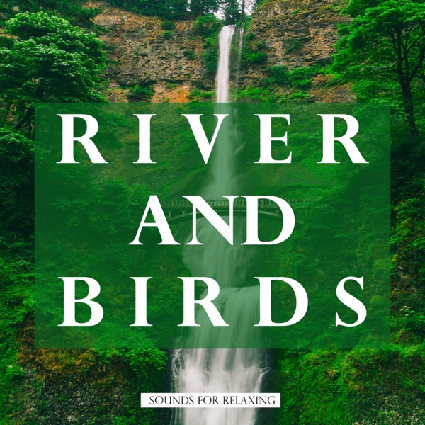 River and Birds Sounds for Relaxing