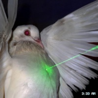 3:33 Am - Single - GhostTheGoon