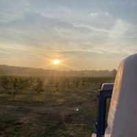 April - Single - petarda3050