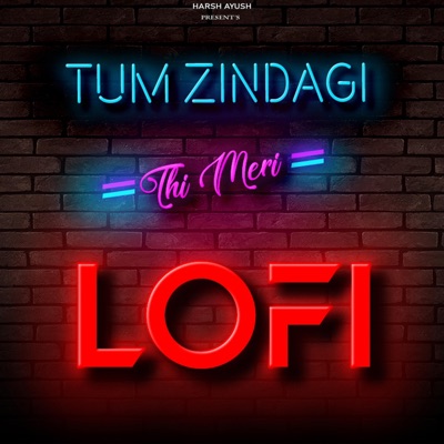 Tum Zindagi Thi Meri LOFI - Single