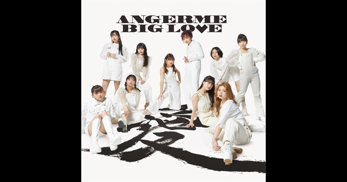 アンジュルム アルバム BIG LOVE 初回生産限定盤B ANGERME Amazon.co.jp: BIG LOVE 初回生産限定盤A - アンジュルム