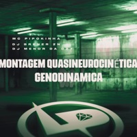 Montagem Quasineurocinética Genodinâmica - Single - MC Pipokinha, DJ Menor da DZ7 & DJ BRENER ZN