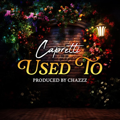 Used To - Single