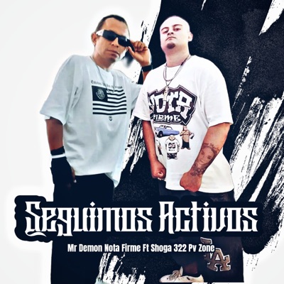 Seguimos Activos (feat. Shoga 322 Pv Zone) - Single