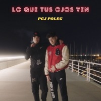 Lo Que Tus Ojos Ven - Single - Poleg & Pgj