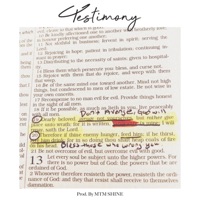 Vengeance - Single - Testimony