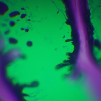 Tabla - Single - JFR