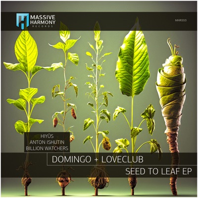 Seed to Leaf (Hiyūs Remix) - Single