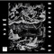 Disfigure (feat. INNOCENT) - Wraz. lyrics