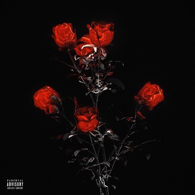 Ultimul Dans - Single