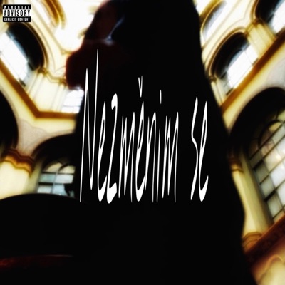 Nezměnim Se (feat. Ricci777) - Single