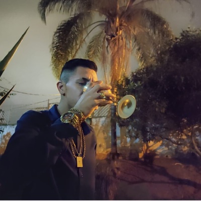 Lágrimas Caíram - Single