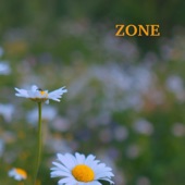 Zone artwork