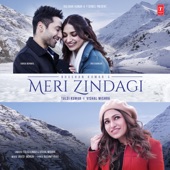 Meri Zindagi artwork