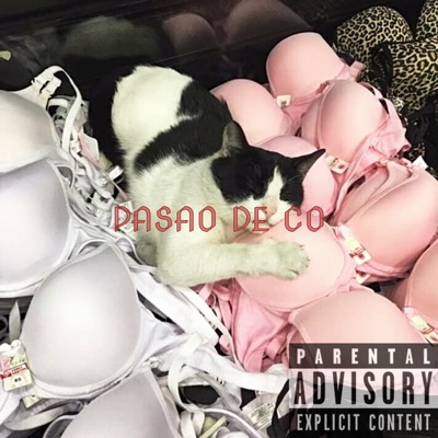 Pasao de Co - Single