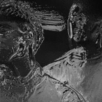 KOLKO PUTI - Single - V:RGO & Emil TRF