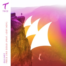 Feels Like Gold (feat. Lost Boy) [Extended Mix] Qulinez