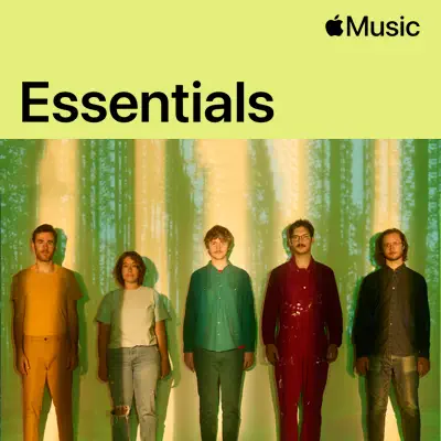Posłuchaj Pinegrove Essentials z udziałem Pinegrove