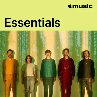 Ascolta Pinegrove Essentials con Pinegrove