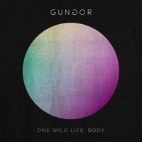 One Wild Life: Body - Gungor