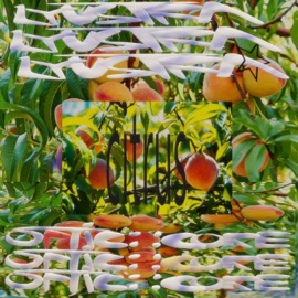 Citrus (feat. Optic Core) lyustra