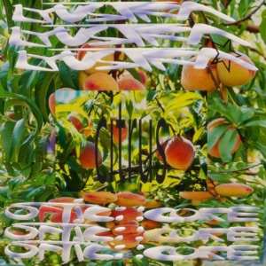 Citrus (feat. Optic Core) - Single