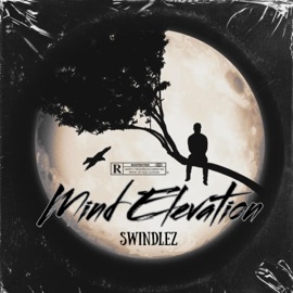 Mind Elevation Swindlez