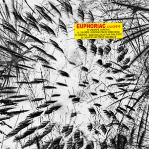 Euphoriac (Tiger & Woods Remix) - Single
