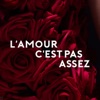 L'amour C'est Pas Assez - Single