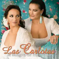 SE HA DAO CUENTA — LAS CARLOTAS