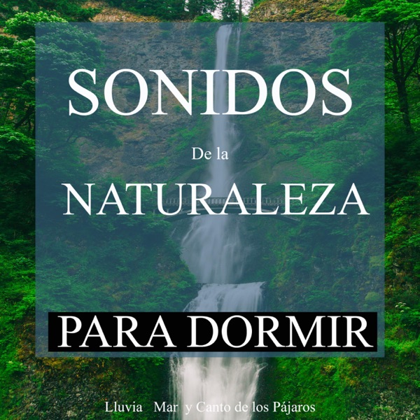 Sonidos de la Naturaleza Para Dormir: Lluvia, Mar y Canto de los Pájaros