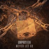 Never Let Go (Extended Mix) - Single