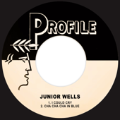 I Could Cry - Junior Wells