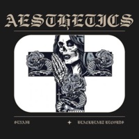 AESTHETICS - Single - SenaiB