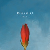 boxxxito - Single - Caluu C.