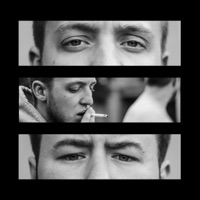 Shell - Single - Bird