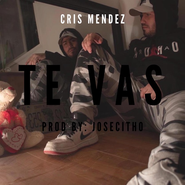TE VAS