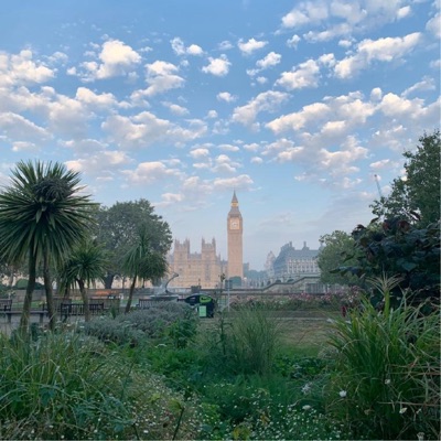 Freedom Is a Choice - Single