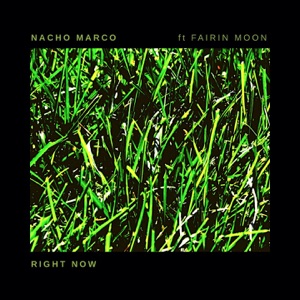 Right Now (feat. Fairin Moon) - EP