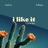 I Like It (feat. Javan Hunt)