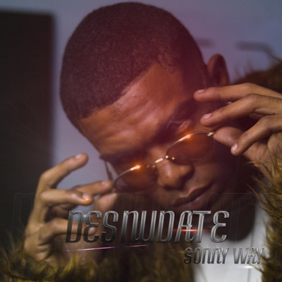 DESNUDATE - Single