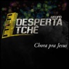 Desperta Tchê