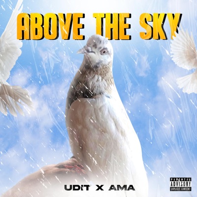 Above the Sky (feat. Aman Mangali Aala) [Remix] [Remix] - Single