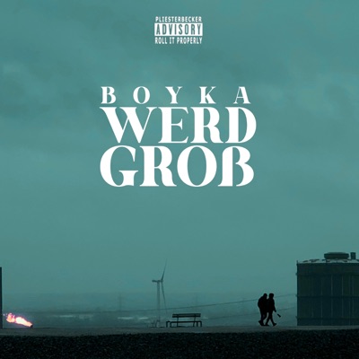 werd groß - Single