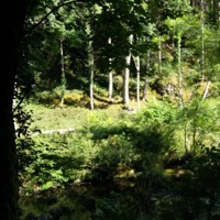 South Florida Pain Clinic - Single - Greenwood