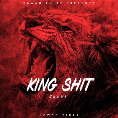 PAWAN VIBEZ - King Shit (Shubh)